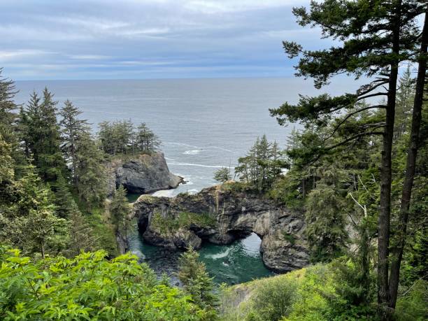 istock Natural bridge off the Oregon coast 1389898547