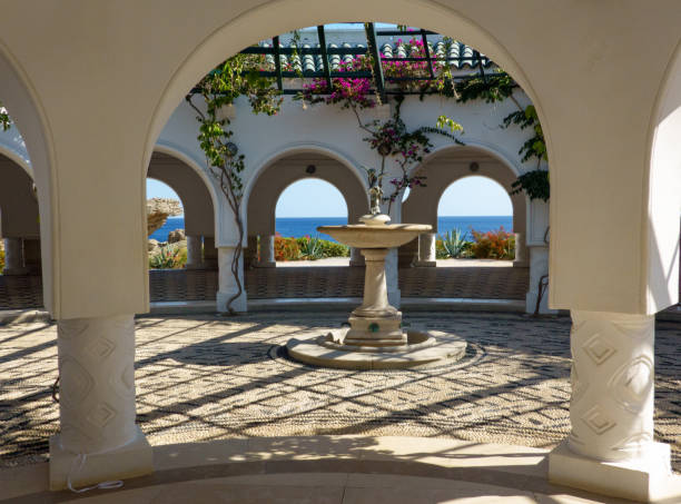 kallithea spring, rhodes의 termal baths - frame flower ornamental garden beauty in nature 뉴스 사진 이미지