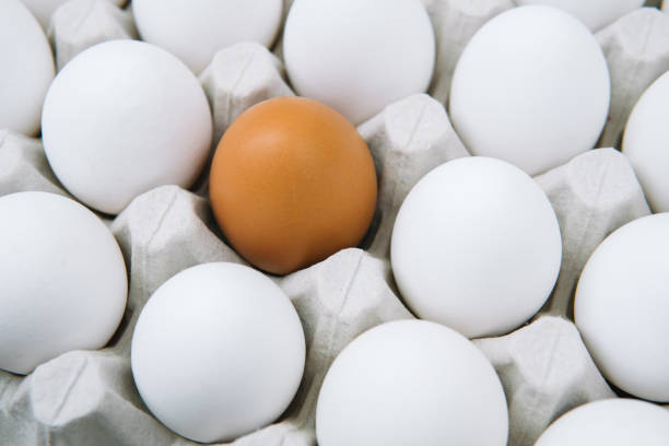 istock Fresh white chicken eggs and alone brown egg. Side view natural organic egg. Healthy real food 1389903736
