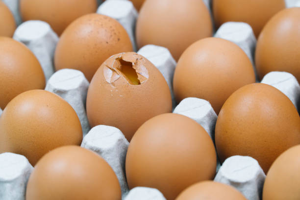 istock Brown raw chicken eggs and alone broken egg in a tray top view 1389903877