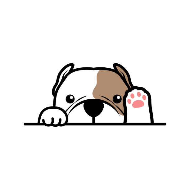 cute american bully dog peeking and waving paw cartoon, vector illustration - 比特犬 幅插畫檔、美工圖案、卡通及圖標