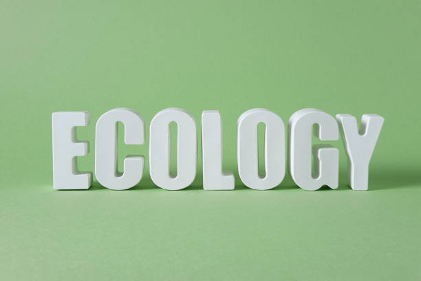istock Word Ecology made from white concrete letters on the green background 1389905513
