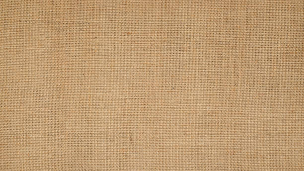 istock Hessian sackcloth burlap woven texture background / cotton woven fabric background with flecks of varying colors of beige and brown. 1389905712
