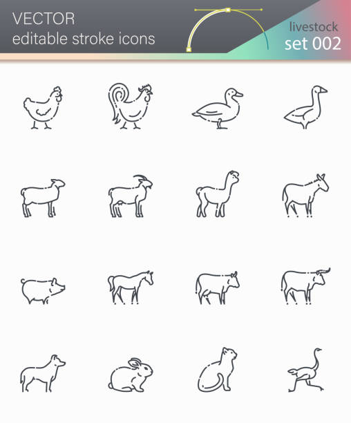 illustrazioni stock, clip art, cartoni animati e icone di tendenza di set di icone della linea di bestiame vettoriale isolato su sfondo trasparente. - chicken silhouette animal rooster