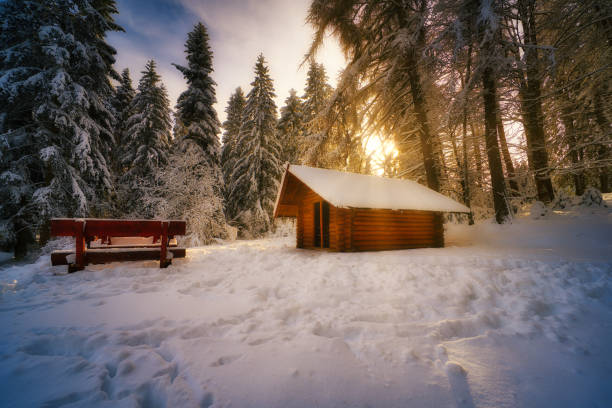 istock on the Rennsteig in the Thuringian Forest 1389915407