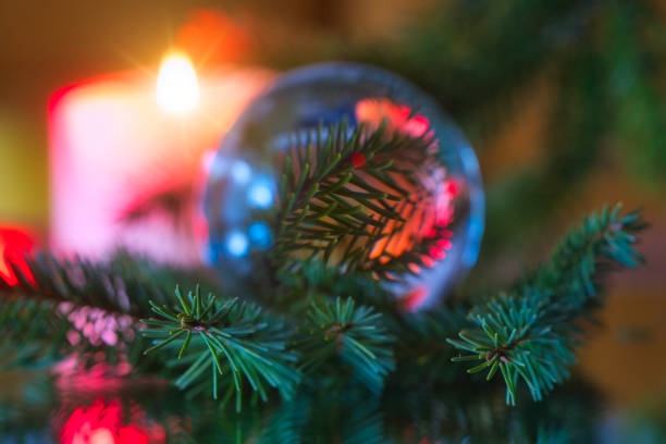 with the lensball in the Thuringian Forest