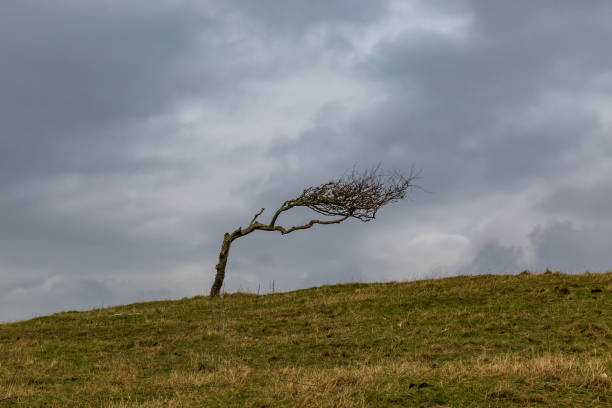 Edale Valley is a magical mix of woodland, moorland, agricultural land, hills, hillocks and frequent and varied public footpaths and rights of way.