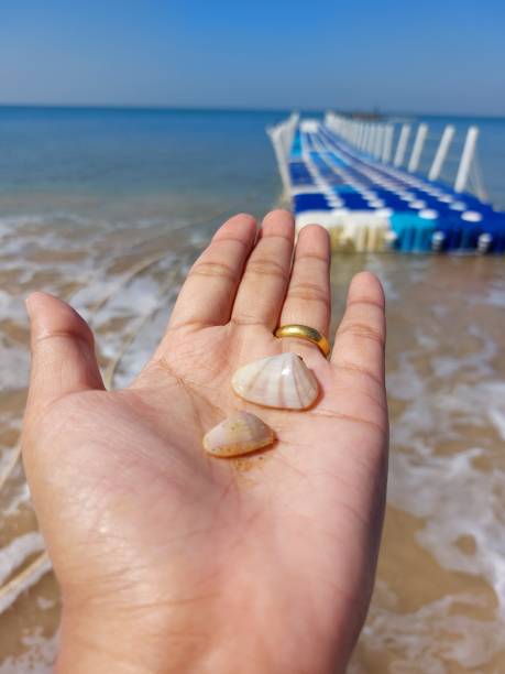 istock life with the sea 1389916651