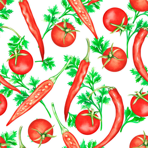 ilustrações de stock, clip art, desenhos animados e ícones de seamless pattern.tomatoes, hot pepper,parsley.watercolor illustration.isolated on a white background - cilantro parsley spice white background