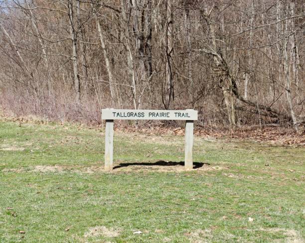 istock Old Wood Trail Signpost 1389921223