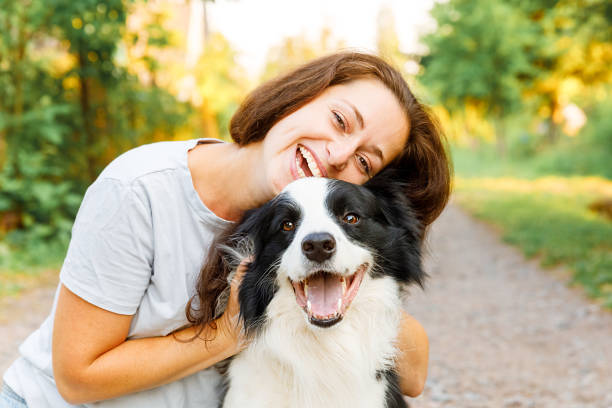 夏の屋外背景にかわいい子犬のボーダーコリーと遊んで笑顔の若い魅力的な女性。犬の友人を抱きしめる抱きしめる女の子。ペットケアと動物の概念 - dog pets stroking women ストックフォトと画像