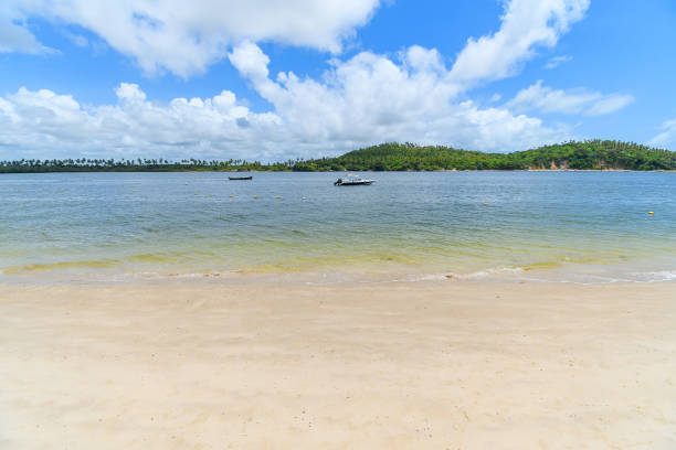 Landscape of Praia dos Carneiros, Pernambuco
