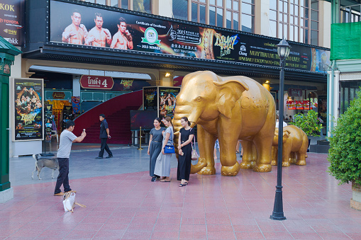 Thai women are posing for photo with golden elephant at Asiatique at Chao Praya river in Bangkok. In background is Muay Thai bopxing event building. Asiatique is promenade area with restaurants in southern Bangkok