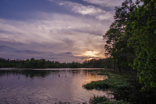 istock A quiet evening during sunset at the lake. 1389924468