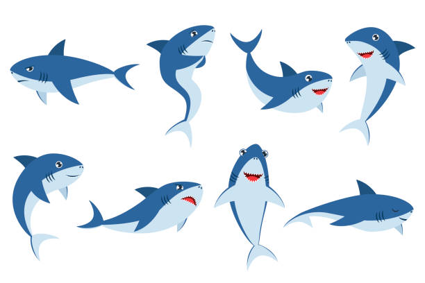 bildbanksillustrationer, clip art samt tecknat material och ikoner med cute sharks in different poses cartoon illustration set - baby swim under water