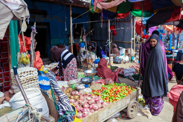 果物や野菜、伝統的なグレーのドレスを着た女性が列の近くにいる地元の食品市場 - somaliland ストックフォトと画像