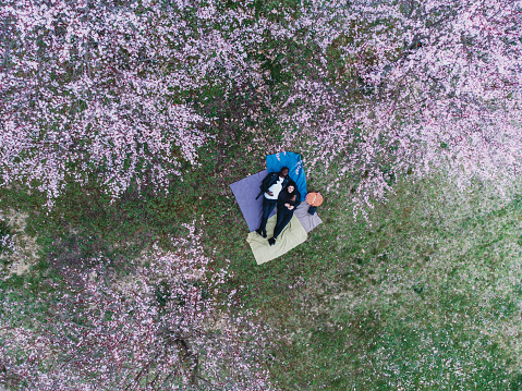 Aerial view of a young adult couple spending time together during a picnic. They are lying down under the trees in bloom with pink flowers.
