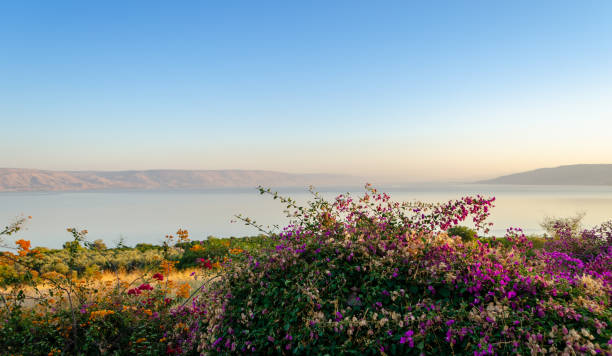 istock View of Galilee Sea. Golan Heights. 1389927546