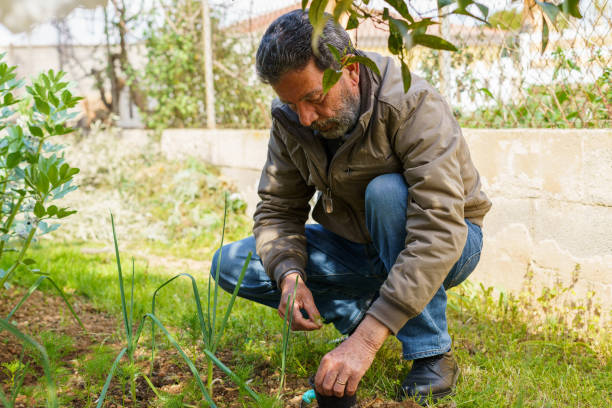 istock Man farmer placing a plant inside a pot. Farmer Concept 1389927669