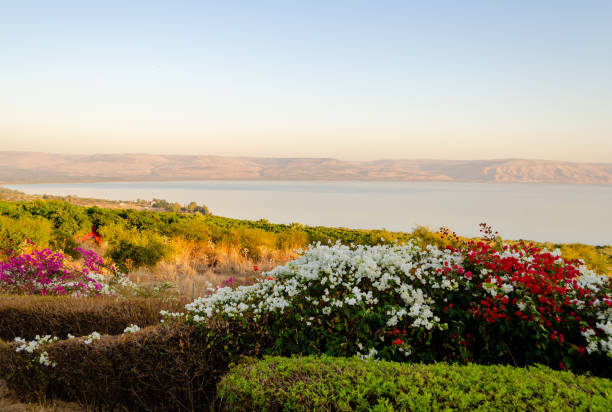 istock View of Galilee Sea. Golan Heights. 1389930403