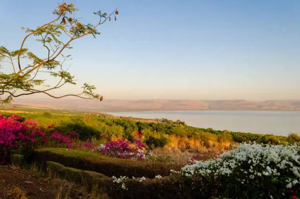 View of Galilee Sea. Golan Heights. Lovely landscape with scenic sky and warm colors.