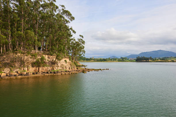 A beautiful panoramic view of a river with abundant vegetation on its banks.
