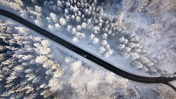 istock Road through the wintery forest 1389931800