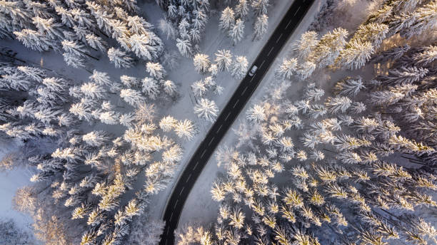 istock Road through the wintery forest 1389931808