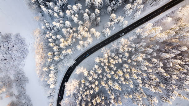 istock Road through the wintery forest 1389931896