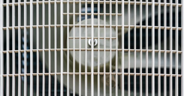 istock air conditioner blades behind plastic grid extreme closeup 1389932121