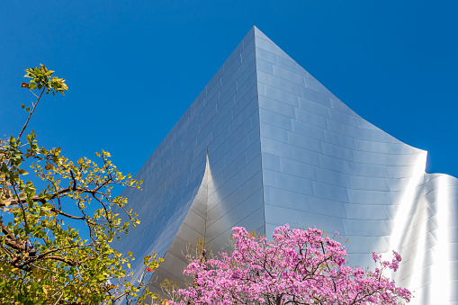 Detail of the Walt Disney Concert Hall and blooming tree in downtown Los Angeles, California, USA on a spring sunny day.