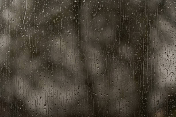 krople deszczu o okno z drzewem w tle - bare tree rain autumn tree zdjęcia i obrazy z banku zdjęć