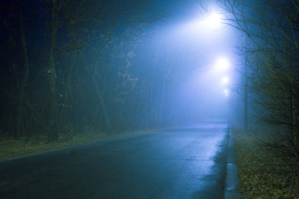 istock Foggy forest road with blue street lights 1389937679