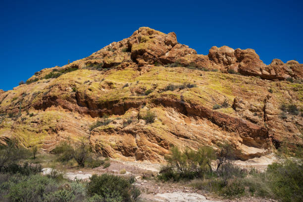istock Rugged Sonoran Desert Landscape 1389948544