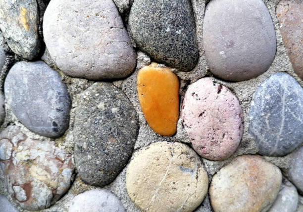 Close up of diverse multicolored round gray and brown pebbles on a garden walkway. Stone background photo.