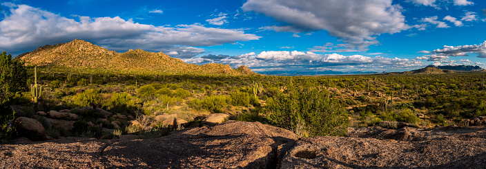 Sonoran Desert landscape at sunset from the Balanced Rock in Scottsdale, AZ
