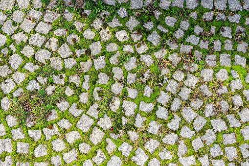 green grass grows through the gaps in the pavement granite stones