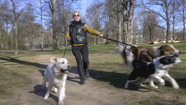 Young woman taking her three dogs out for a run at the park