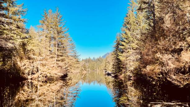 istock Rice lake near Vancouver 1389952234