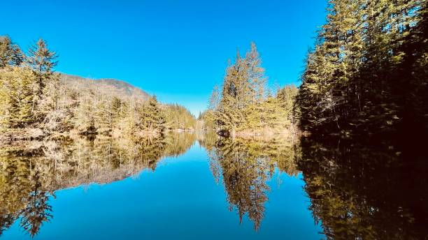 istock Rice lake near Vancouver 1389952788