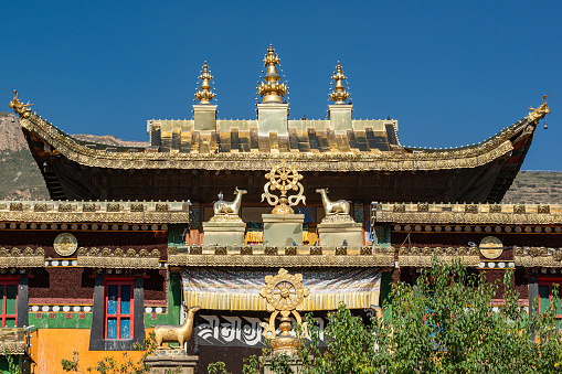 Rongwo (also called Longwo) Monastery in Amdo, Quinghai, Eastern Tibet. \nThe monastery was founded back in 1341 and is an important Tibetan Buddhist Monastery in Tongren and one of the biggest Gelug monasteries in Qinghai.