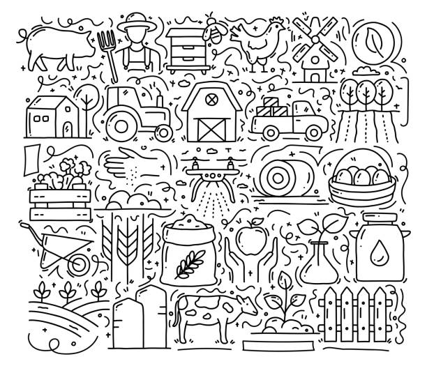 rolnictwo i obiekty i elementy związane z rolnictwem. ręcznie rysowana kolekcja ilustracji wektorowych doodle. ręcznie rysowany wzór - tractor green farm corn stock illustrations