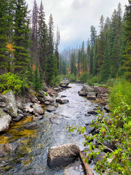 Secech River near McCall, Idaho