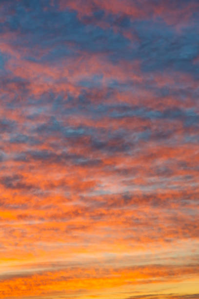 céu dramático manhã - cumulus cloud cloud cloudscape fluffy - fotografias e filmes do acervo