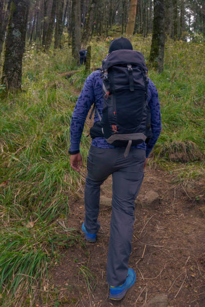 istock A hiking man walk down a path through a forest on a sunny day 1389965318