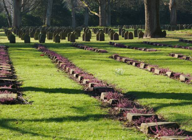올스도르프 묘지의 전쟁 무덤 - ohlsdorfer friedhof 뉴스 사진 이미지