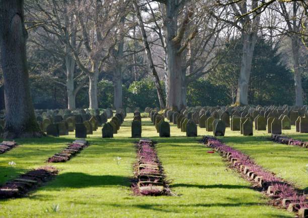 istock Rows of war graves in the cemetery 1389969374