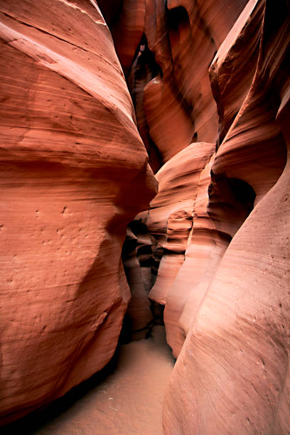 istock Canyon in Arizona 1389979368