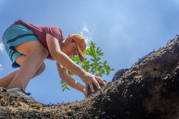 istock A child digs a hole to plant a tree 1389985001