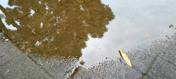 istock reflection of the sky and leaves from puddles on concrete bricks 1389986743